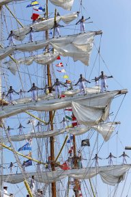 Tall ships races Aarhus