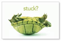 Goals Goalsetting Turtle