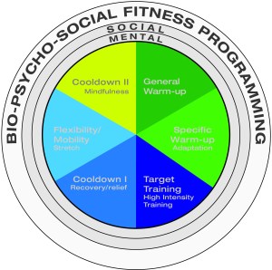 Fitness Workout of The Day Program