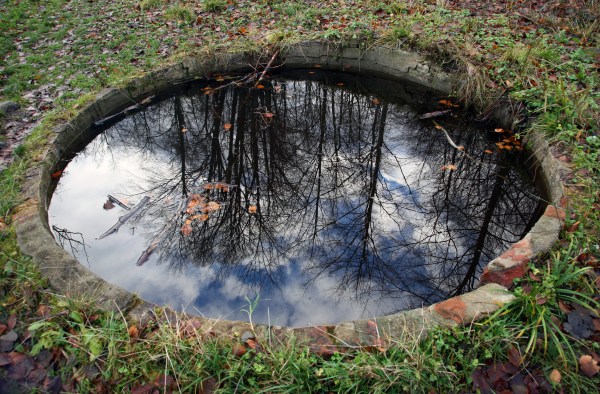 Fall Fish pond with reflection at Ivers Kilde Rosenholm Photo Marina Aagaard