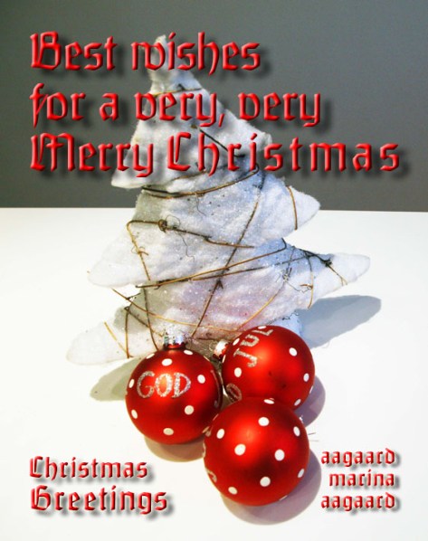 Merry Christmas Christmas card photo Marina Aagaard