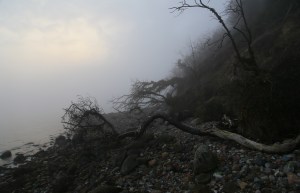 By Følle Strand Djursland Photo Henrik Elstrup