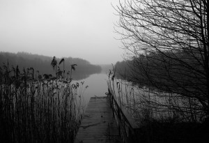 By the lake Langesø Djursland Denmark Photo Henrik Elstrup