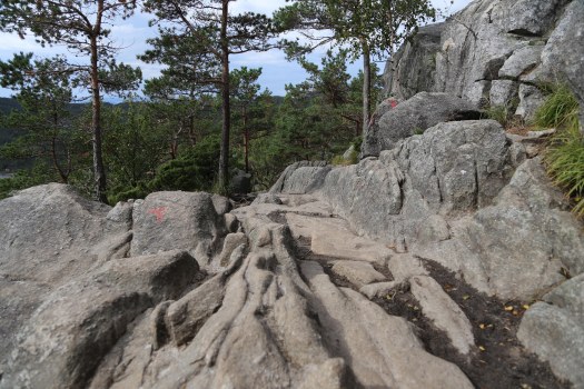 Preikestolen Norway foto Marina Aagaard