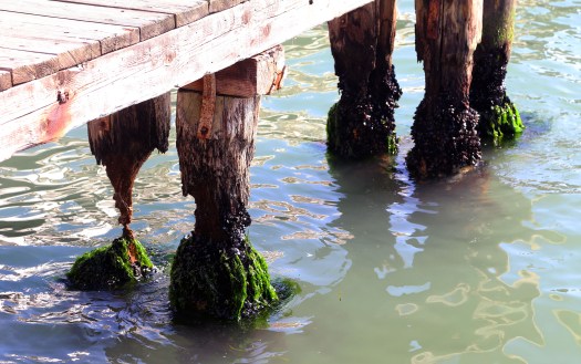 Venedig forfald foto Marina Aagaard fitness blog