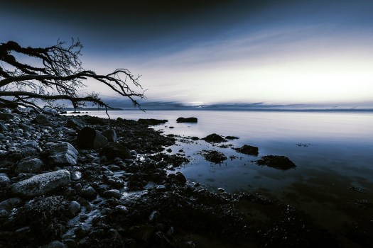 Strand_morgen_Henrik_Elstrup