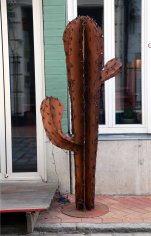 Flensburg_cactus_Marina_Aagaard_fitness_blog