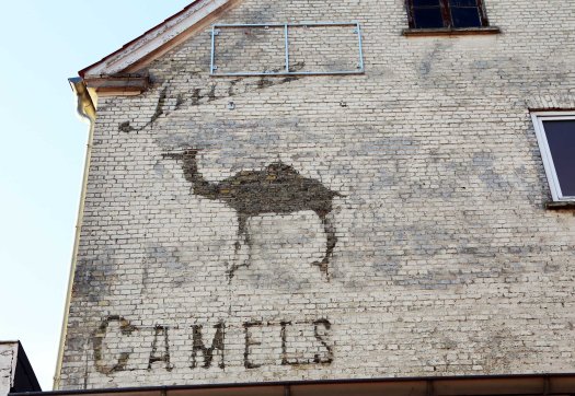 Flensburg_Camels_Marina_Aagaard_fitness_blog