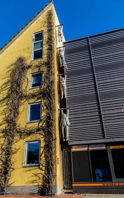 Flensburg_Wall_art_web_Marina_Aagaard_fitness_blog