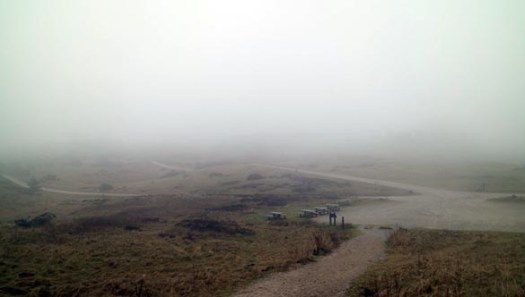 mols_2017_02_img_3470