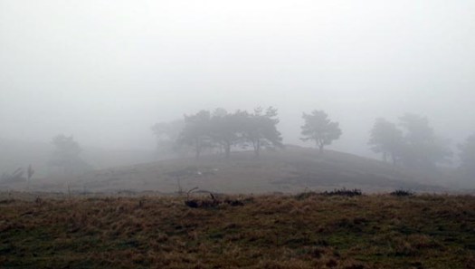 mols_2017_02_img_3474