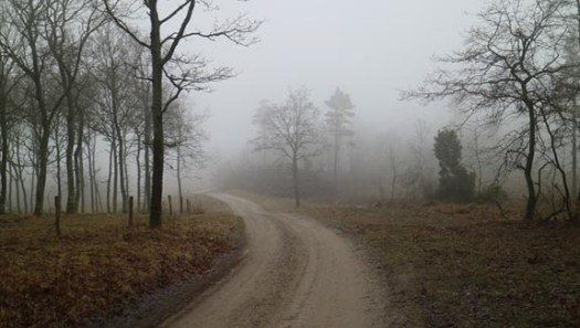 mols_2017_02_img_3479