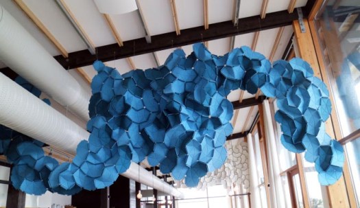 mols_2017_02_img_3493